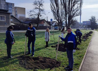 Экологическая акция по высадке деревьев