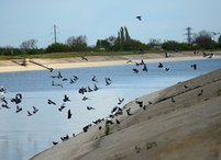 «Крым не нуждается в поставках воды из Украины по Северо-Крымскому каналу» — Генеральный директор ГУП 