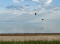 Работы по реконструкции Межгорного водохранилища планируется завершить до 2024 года