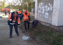 Сакский филиал присоединился к осеннему месячнику благоустройства города.